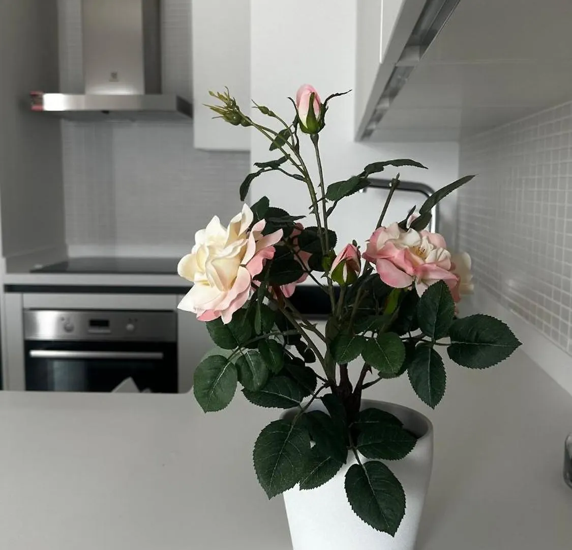 Vega Residances Apartment Izmir Turkey